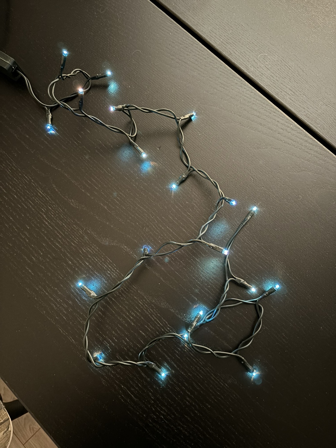 🎄Xmas電飾セットで🎄の写真3枚目
