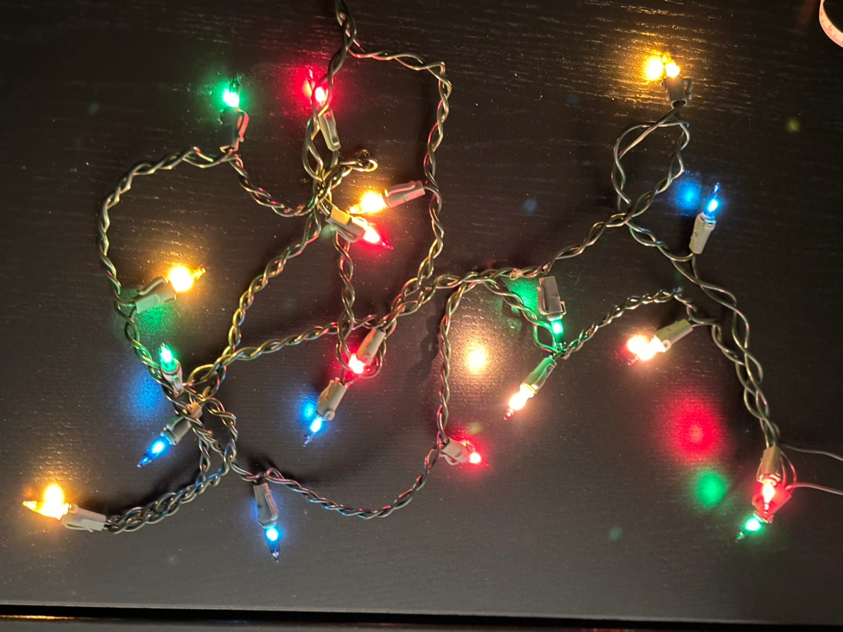 🎄Xmas電飾セットで🎄
