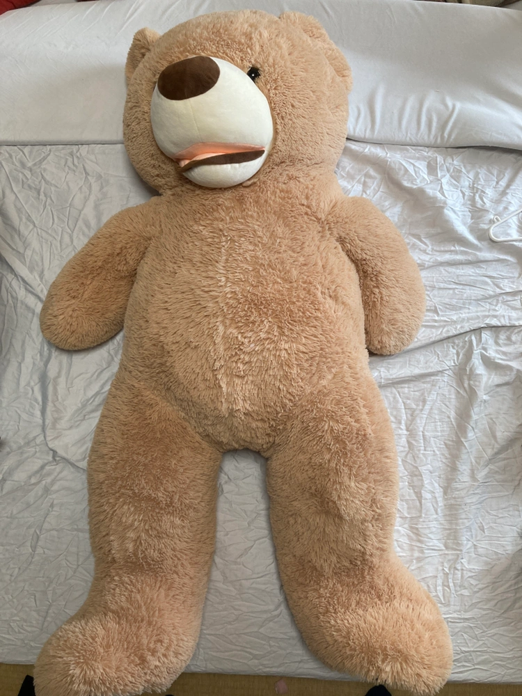 おおきいくまさんぬいぐるみの写真2枚目