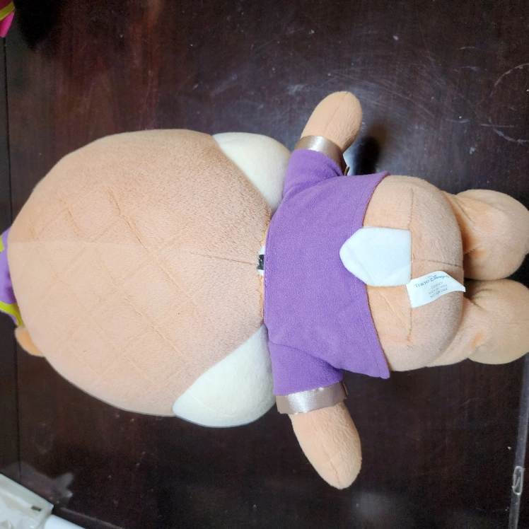 ディズニー デール ぬいぐるみの写真2枚目