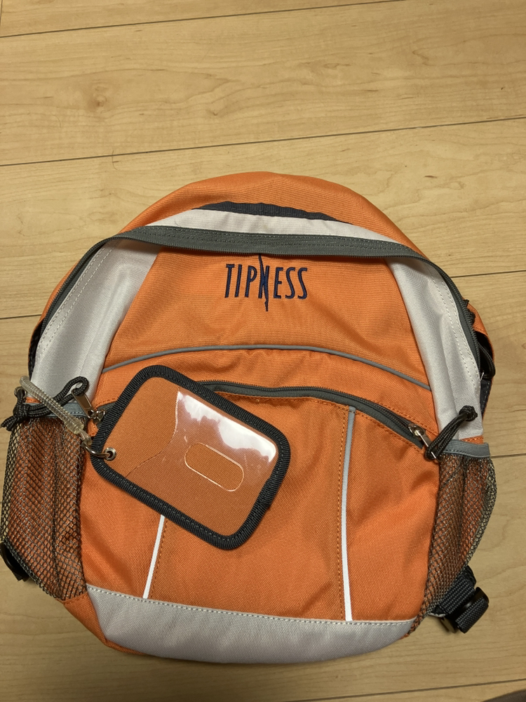 ティプネスバック新品