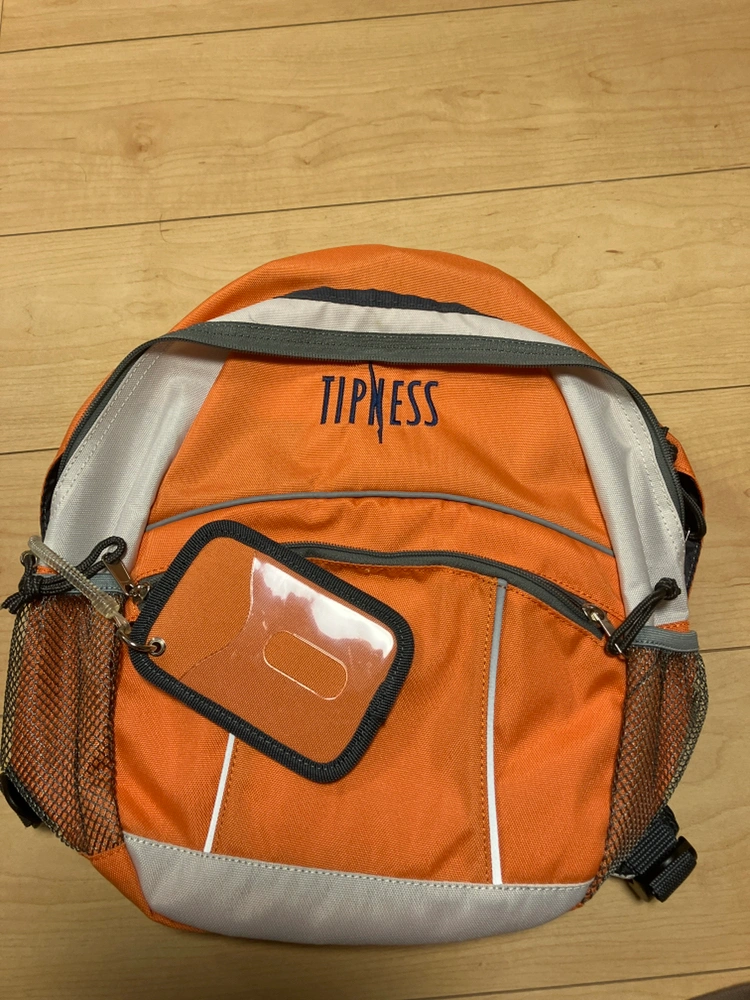 ティプネスバック新品