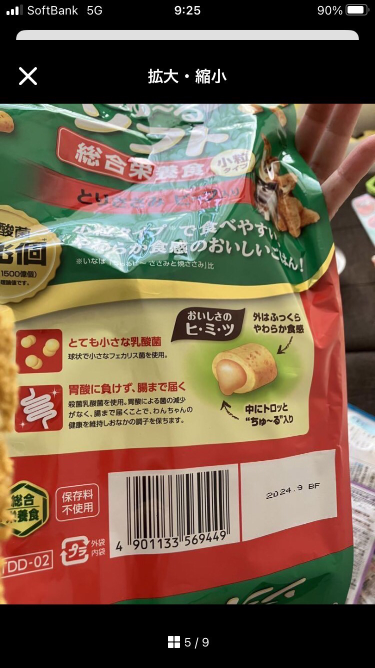 犬用品　セットの写真4枚目