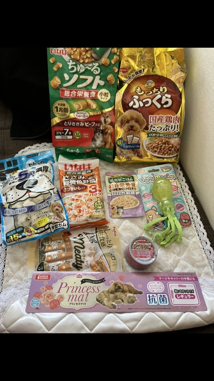 犬用品　セット