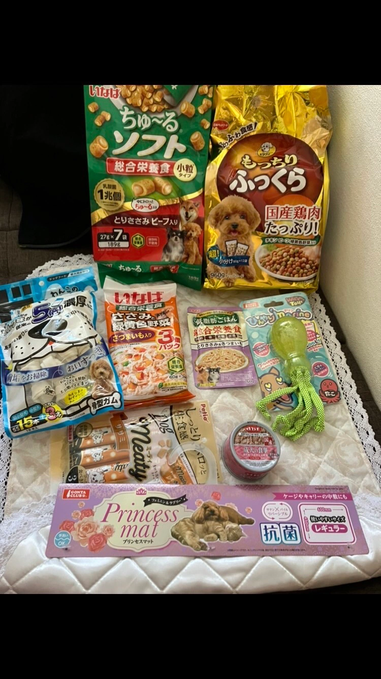犬用品 セット