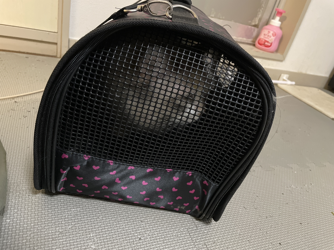 大型猫用　キャリーの写真3枚目