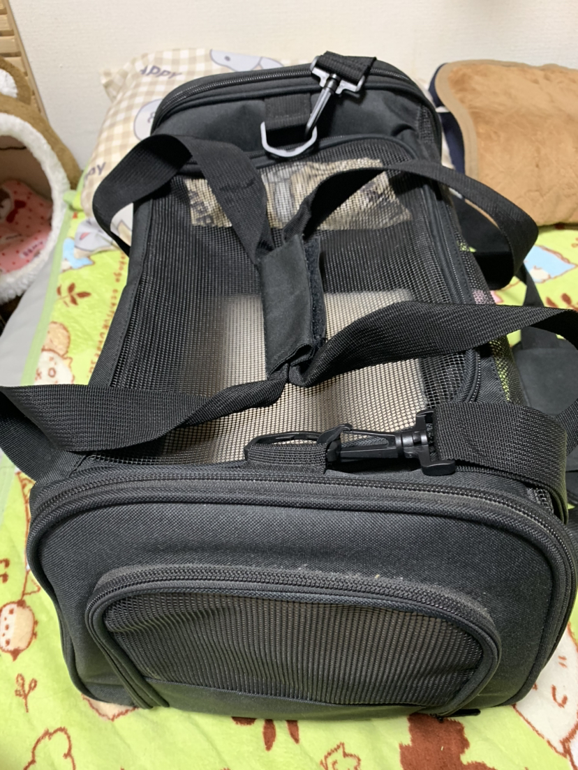 最終出品 動物のキャリーバック うさぎ、小型犬、小型猫の写真3枚目