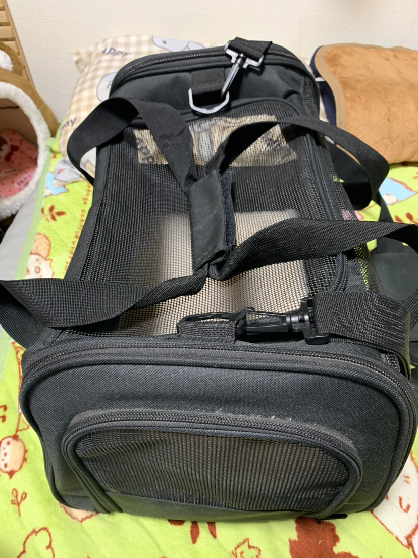 最終出品 動物のキャリーバック うさぎ、小型犬、小型猫の写真3枚目
