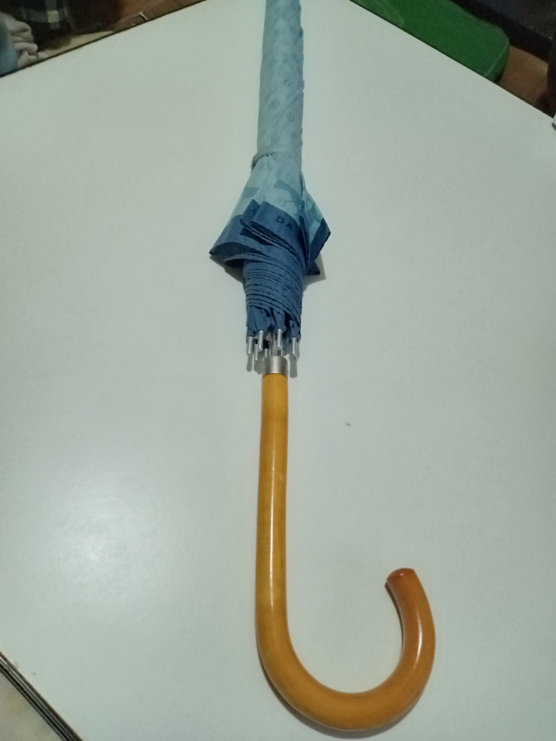 トラサルディーメンズ傘60cm