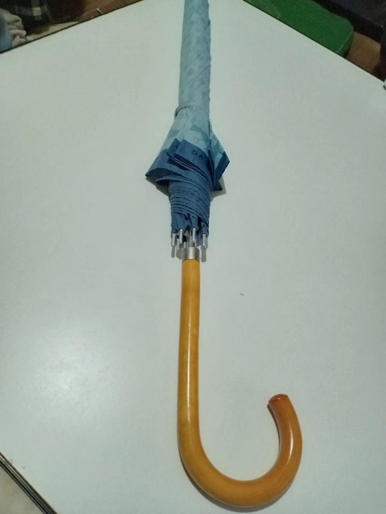 トラサルディーメンズ傘60cm