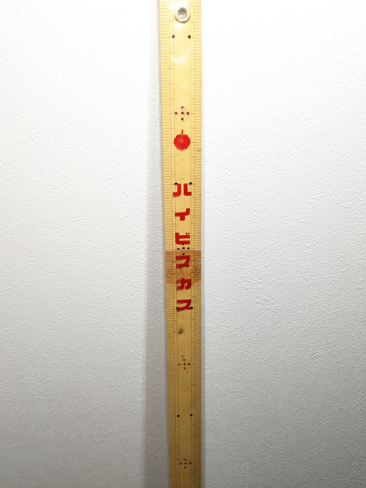 洋裁セットの写真4枚目