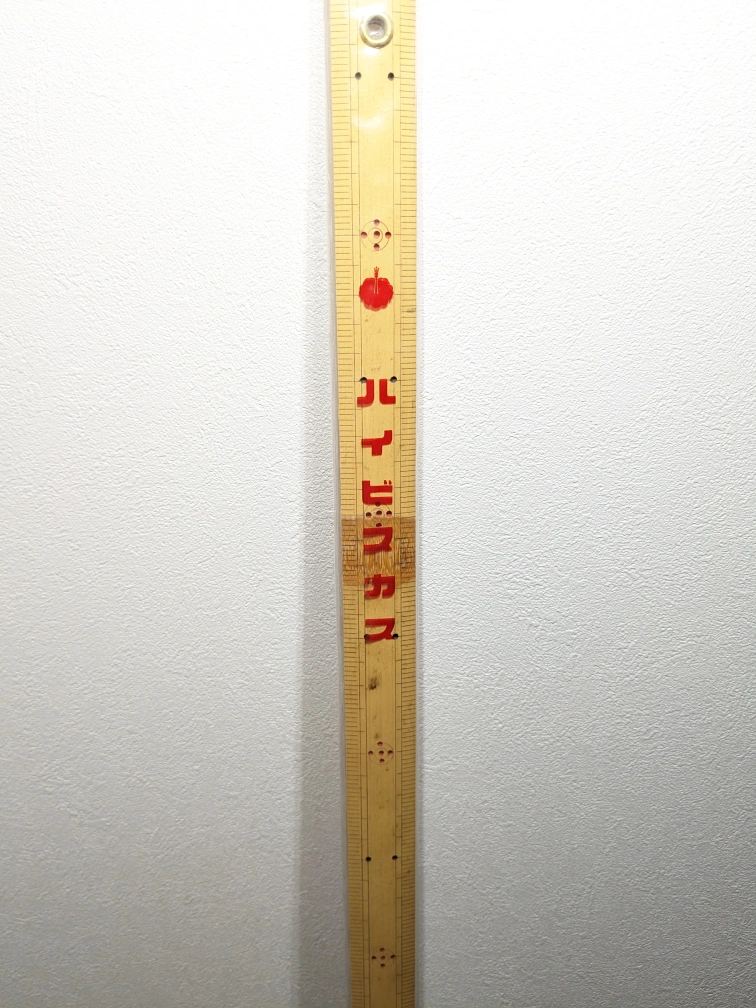 洋裁セットの写真4枚目