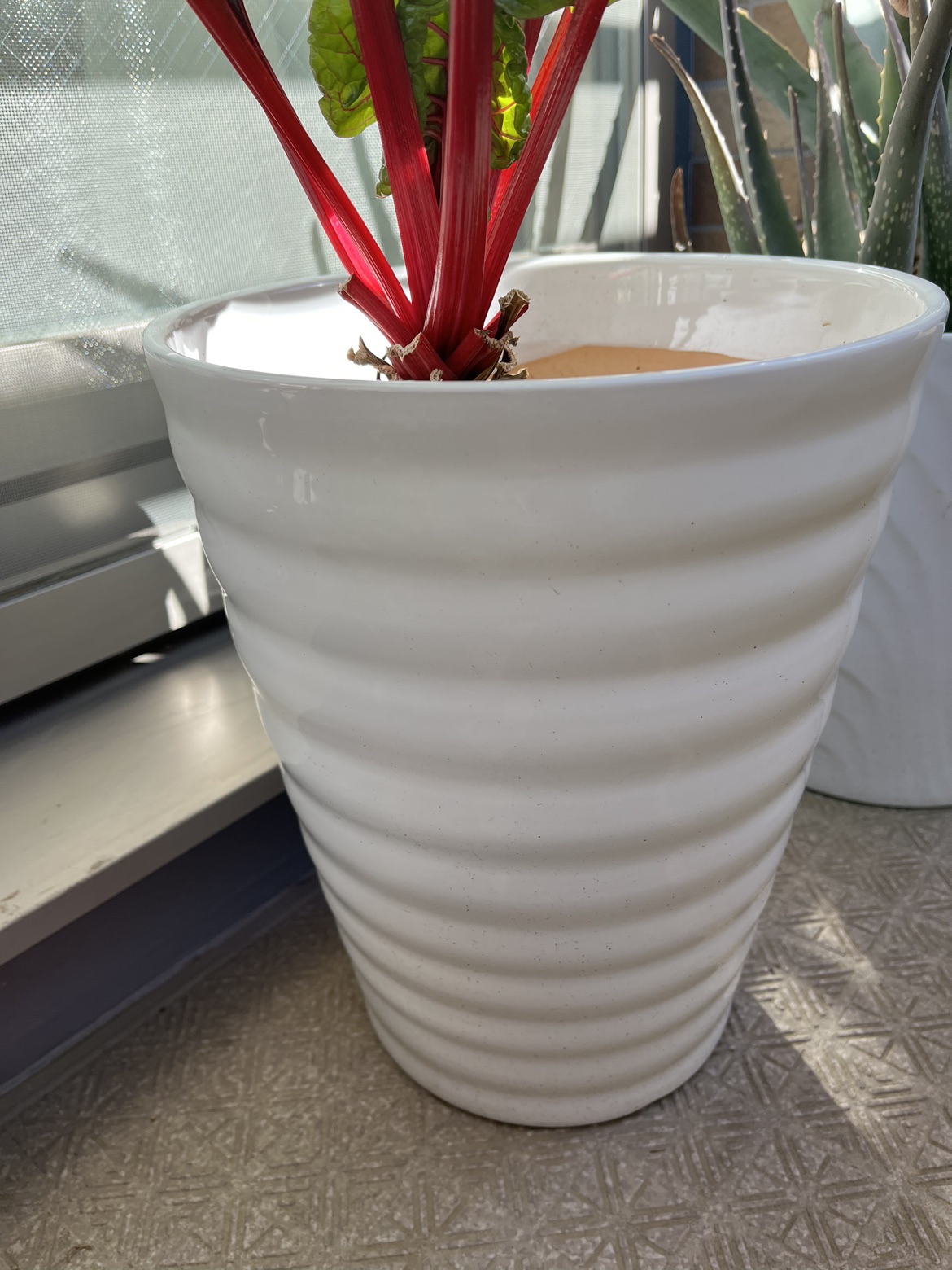 植木鉢　陶器