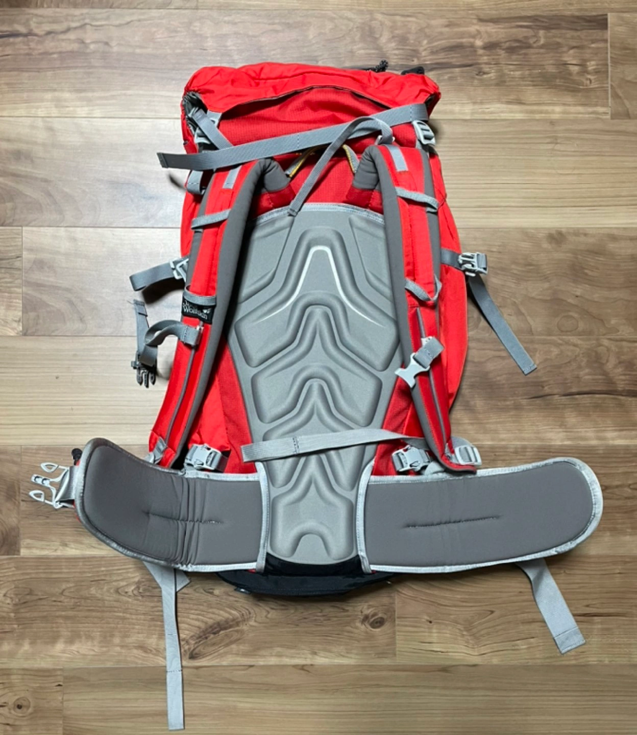 登山リュック 36リットル Jack Wolfskinの写真2枚目