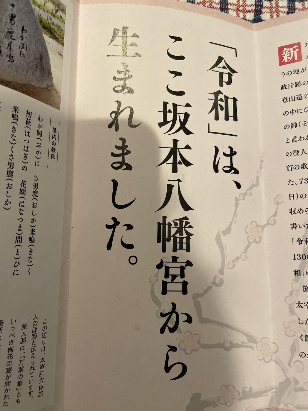 令和元年記念の写真2枚目