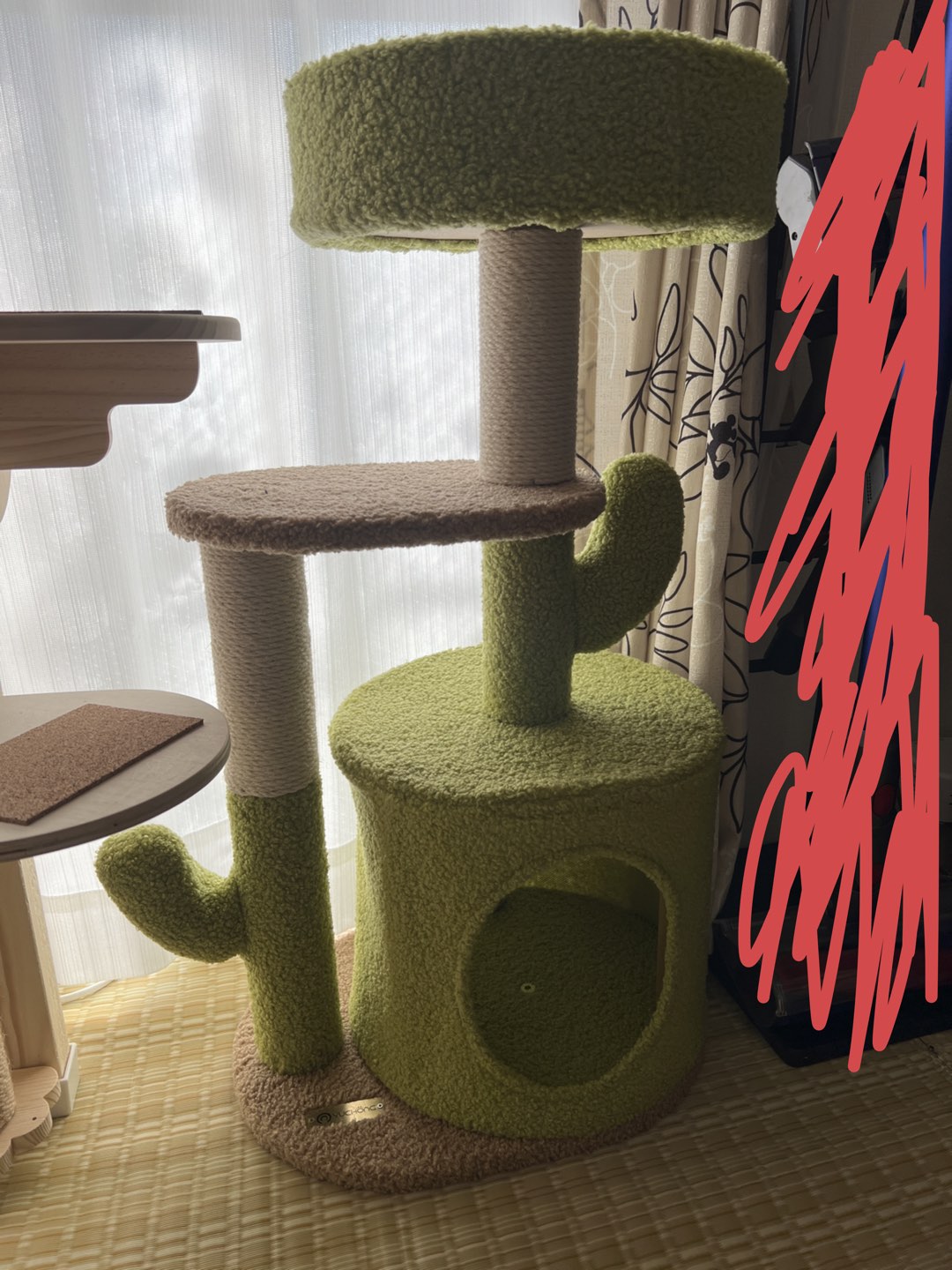 サボテンキャットタワー