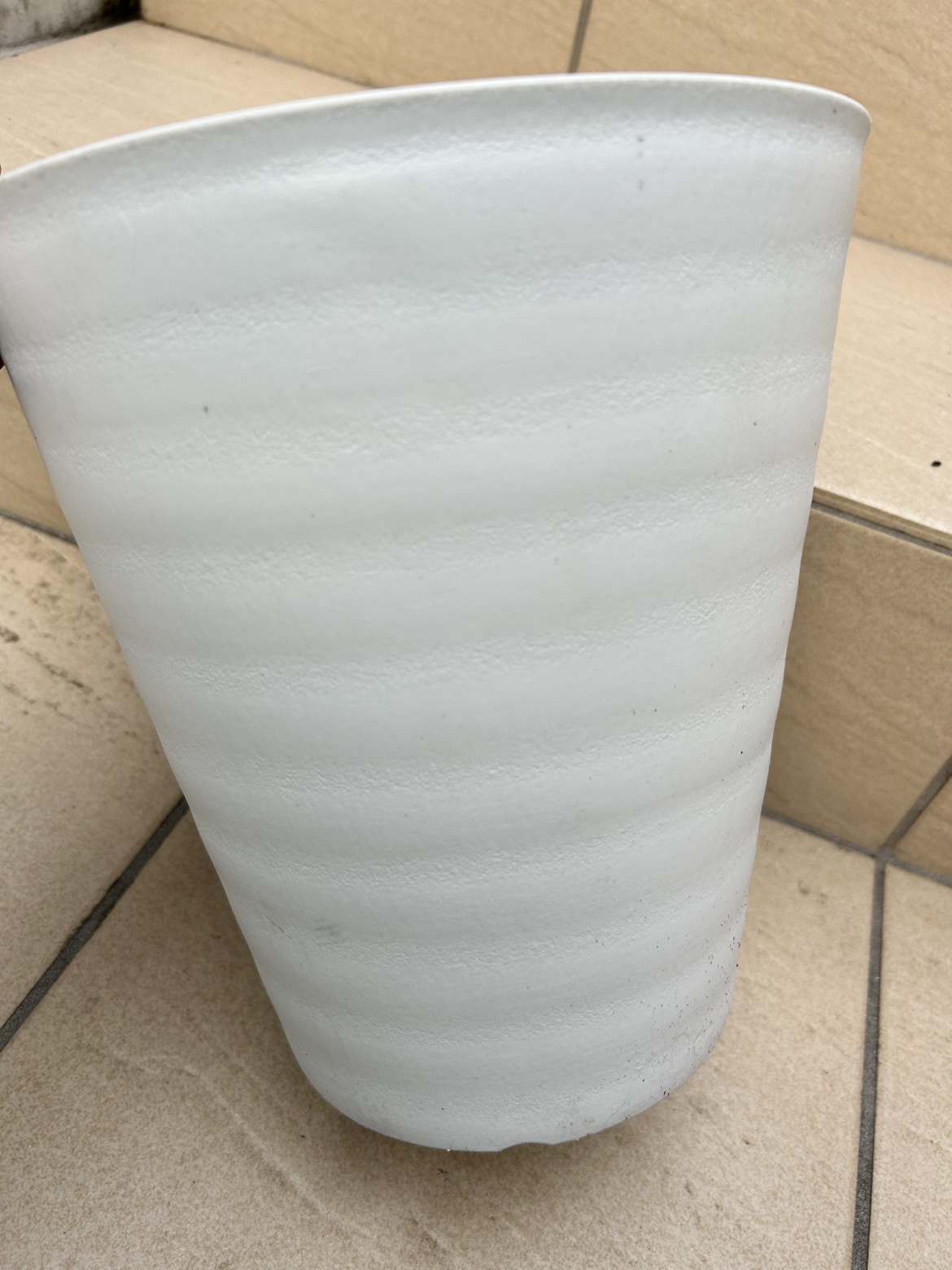 【※近日、処分予定】観葉植物植物用 鉢  プラスチックの写真2枚目
