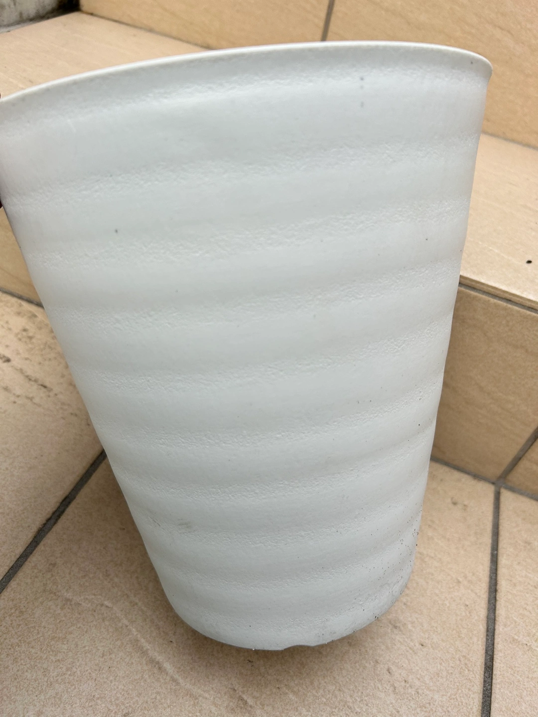 【※近日、処分予定】観葉植物植物用 鉢 プラスチックの写真2枚目