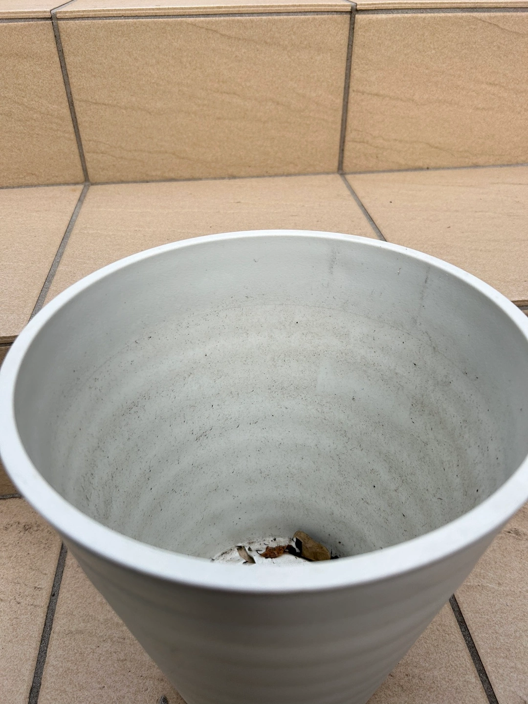 【※近日、処分予定】観葉植物植物用 鉢 プラスチックの写真3枚目
