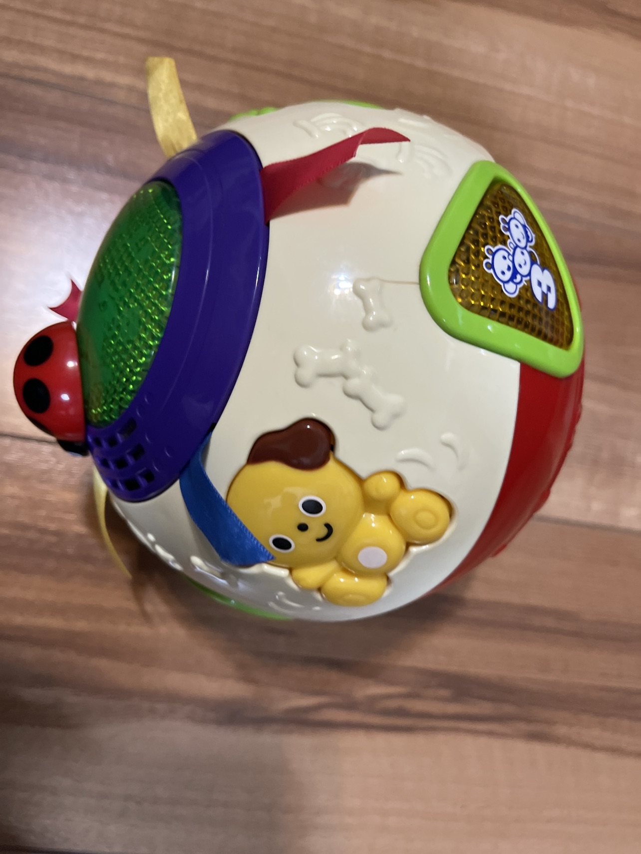 おいかけてコロコロボールの写真2枚目