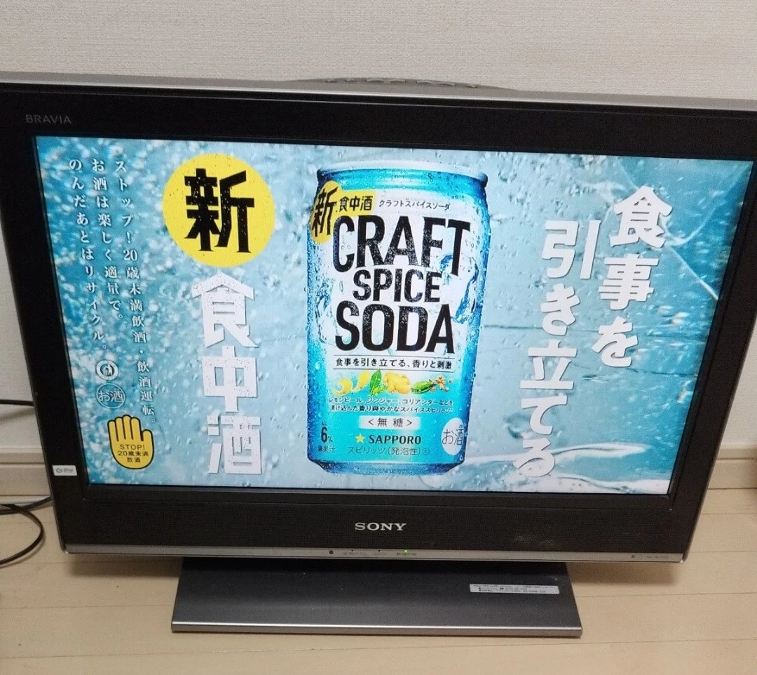 SONY BRAVIA KDL-26J3000