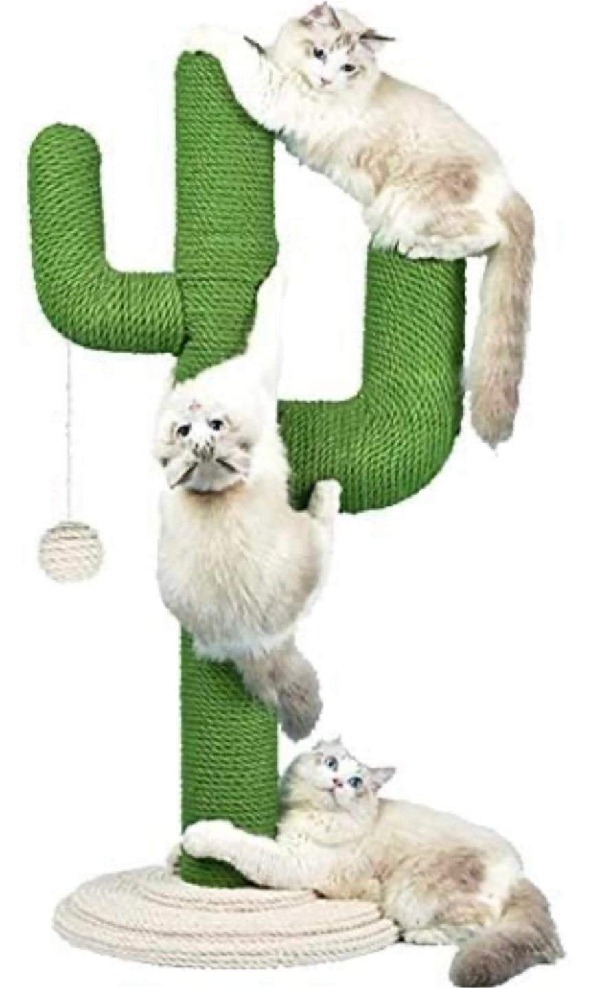 猫の爪研ぎ サボテン 未開封未使用 定価10000円相当の写真4枚目