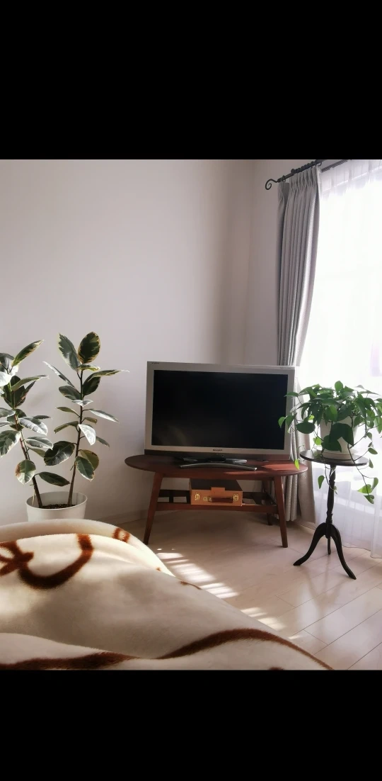シャープ液晶テレビ32型