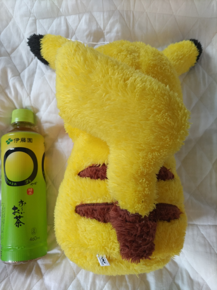 ピカチュウぬいぐるみの写真2枚目