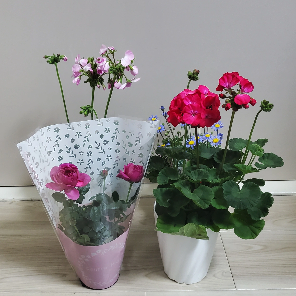 鉢植え花4種