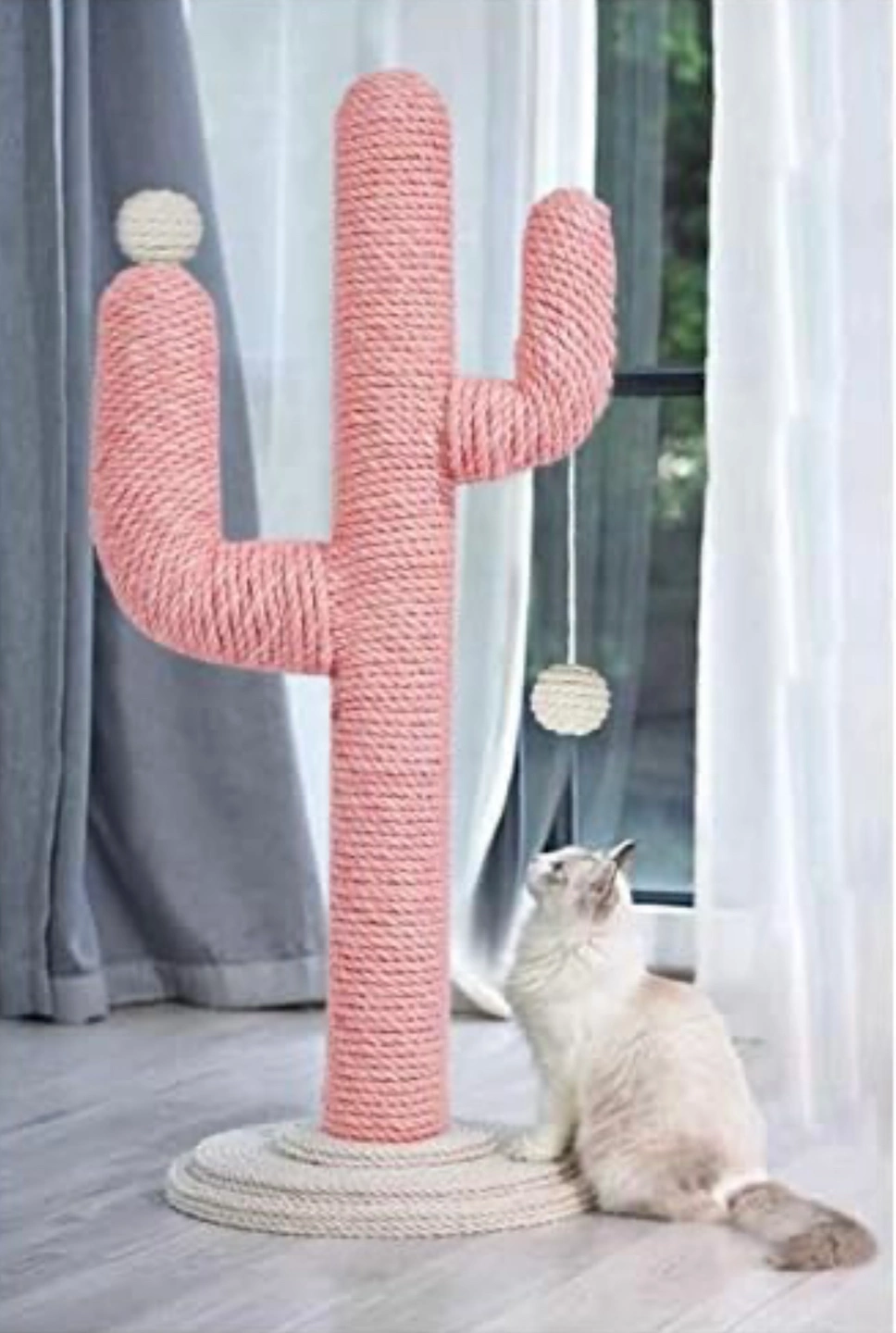 猫の爪研ぎ サボテン 未開封未使用 定価10000円相当