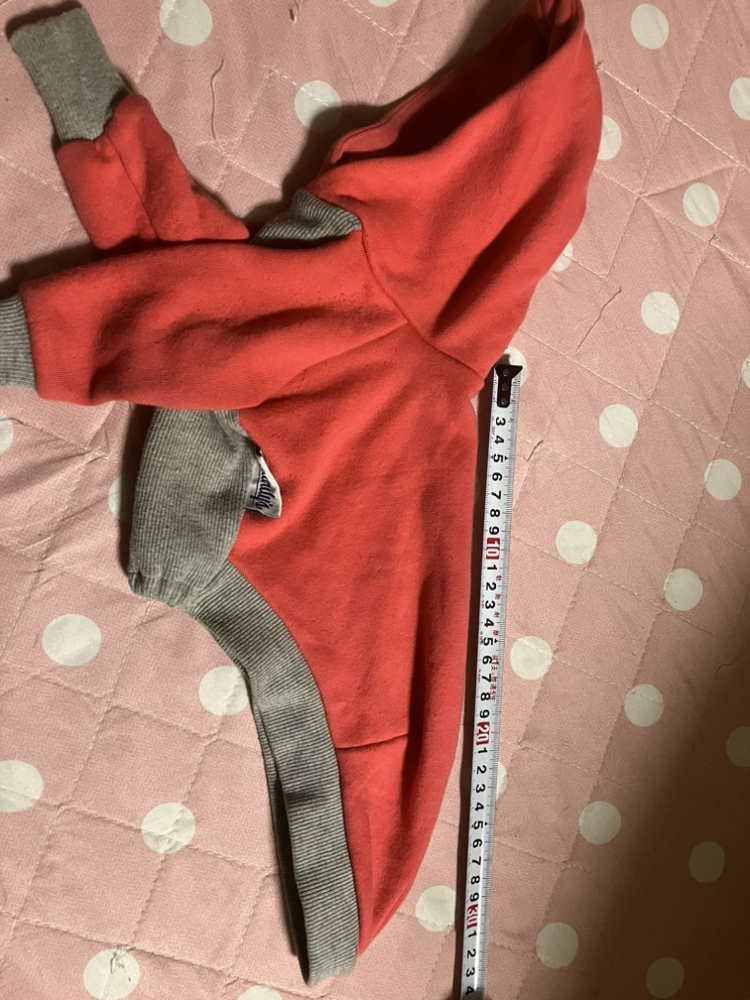 犬の服の写真2枚目