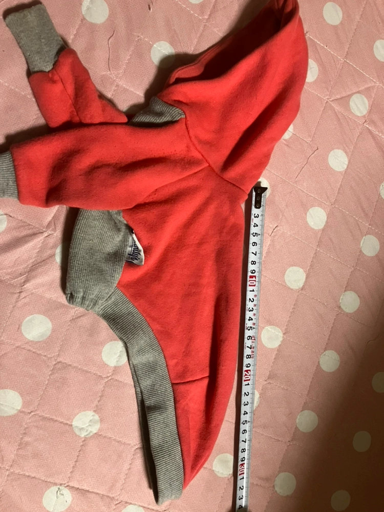 犬の服の写真2枚目
