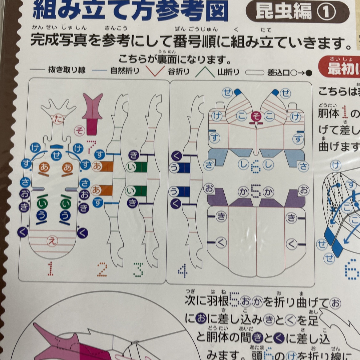ダンボールクラフト キット カブトムシ／3個セットの写真6枚目
