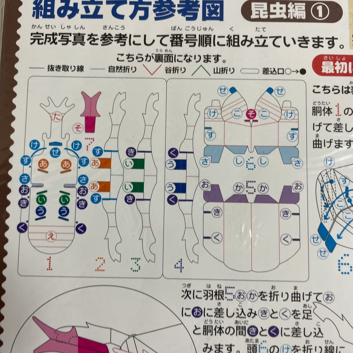 ダンボールクラフト キット カブトムシ/3個セットの写真6枚目