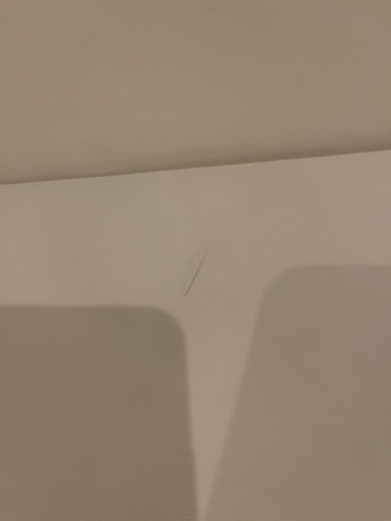 プレイマットの写真4枚目