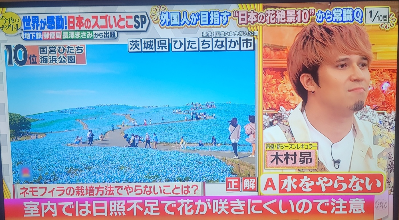 アイリスオーヤマ 40V型 液晶 テレビ 40FB10PB Wチューナー 裏番組同時録画 外付けHDD録画対応の写真4枚目