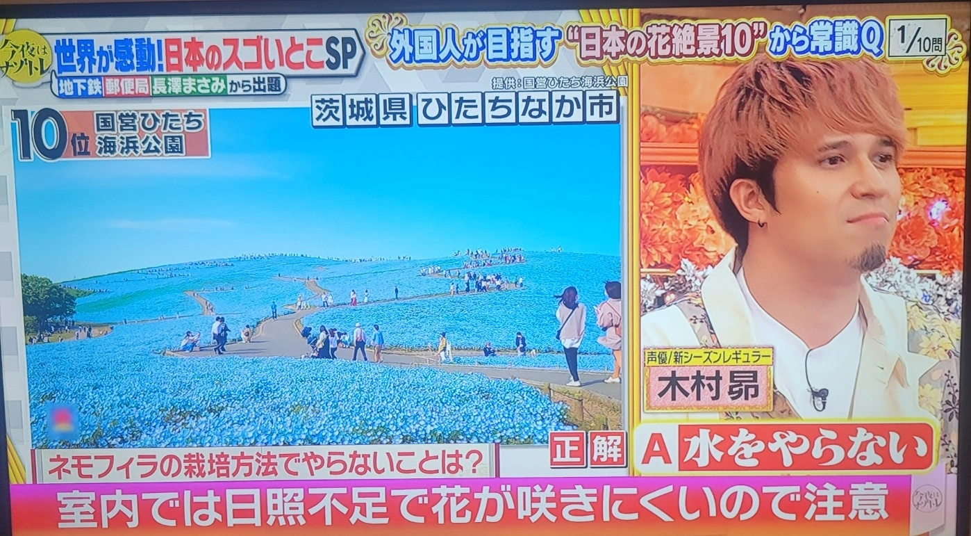 アイリスオーヤマ 40V型 液晶 テレビ 40FB10PB Wチューナー 裏番組同時録画 外付けHDD録画対応の写真4枚目