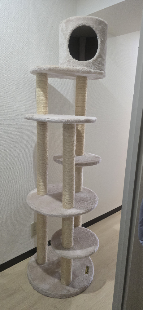 キャットタワー　サイズも写真有