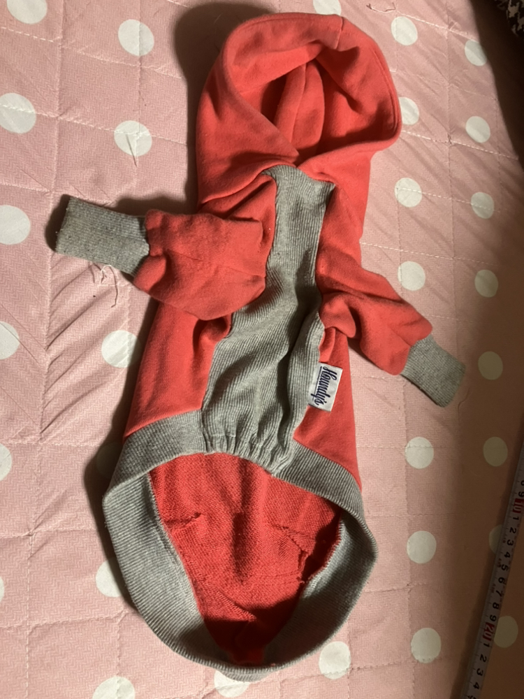 犬の服の写真3枚目