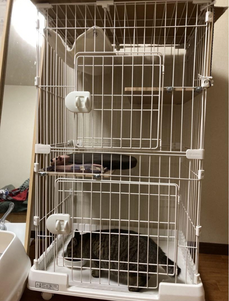 猫 ケージ 2段の写真2枚目