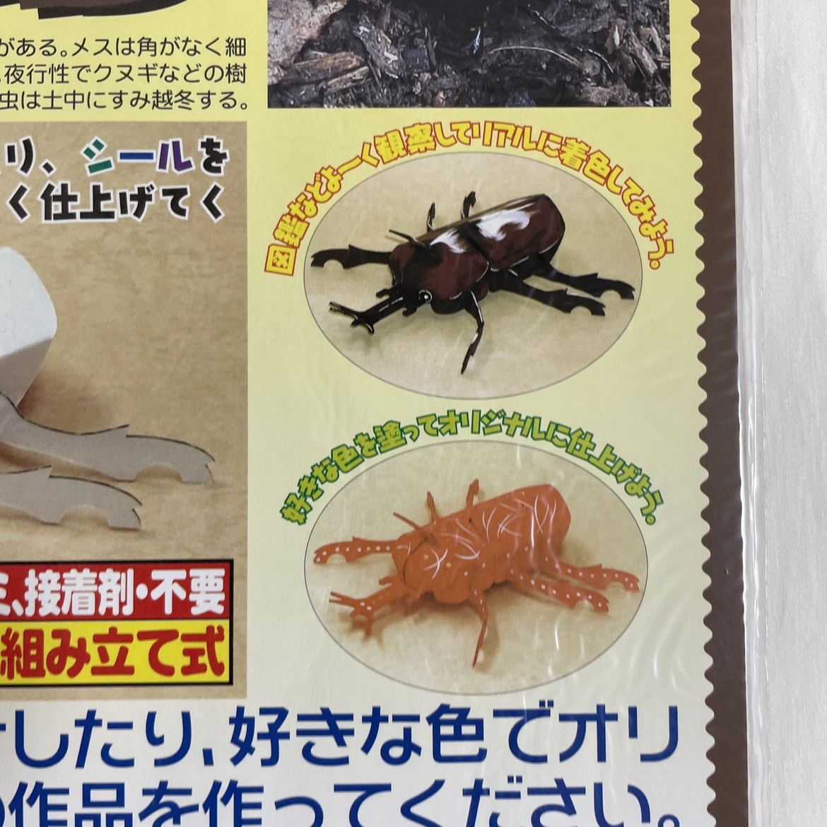 ダンボールクラフト キット カブトムシ／3個セットの写真4枚目