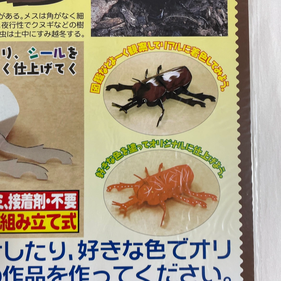 ダンボールクラフト キット カブトムシ/3個セットの写真4枚目