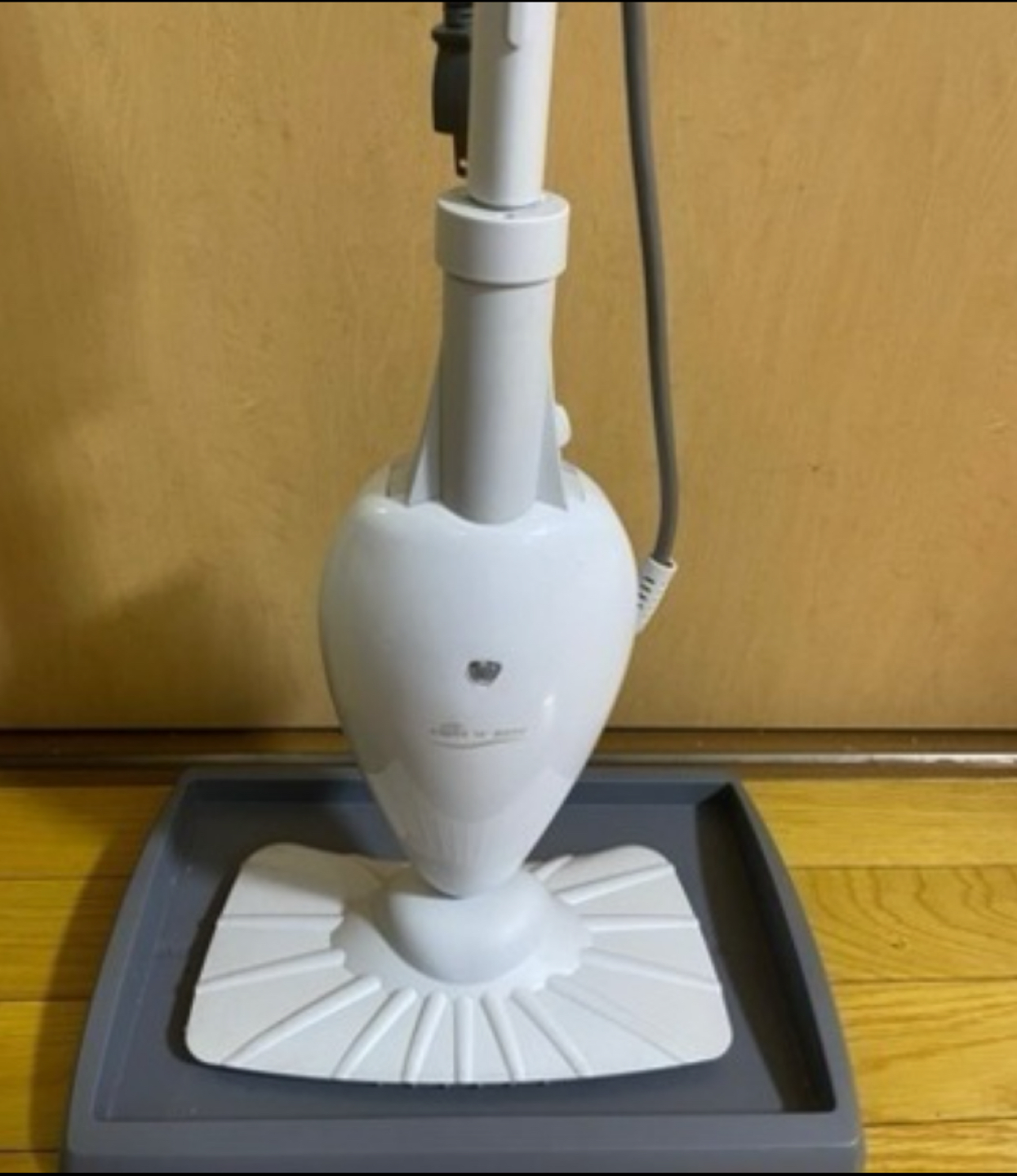 Light 'n' Easy スチームモップ ベーシックの写真2枚目