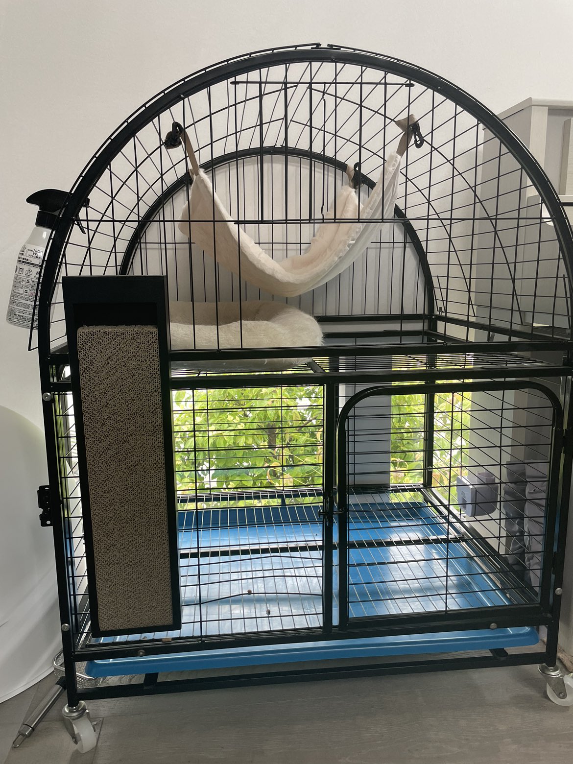 猫ゲージ