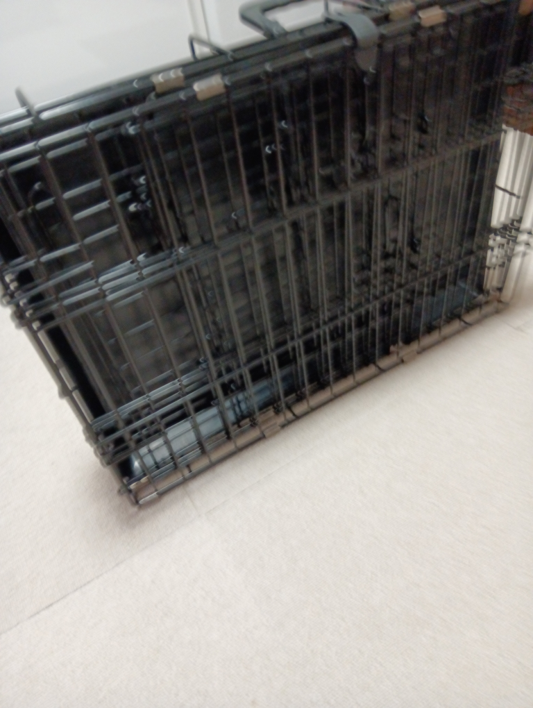 猫ゲージの写真4枚目