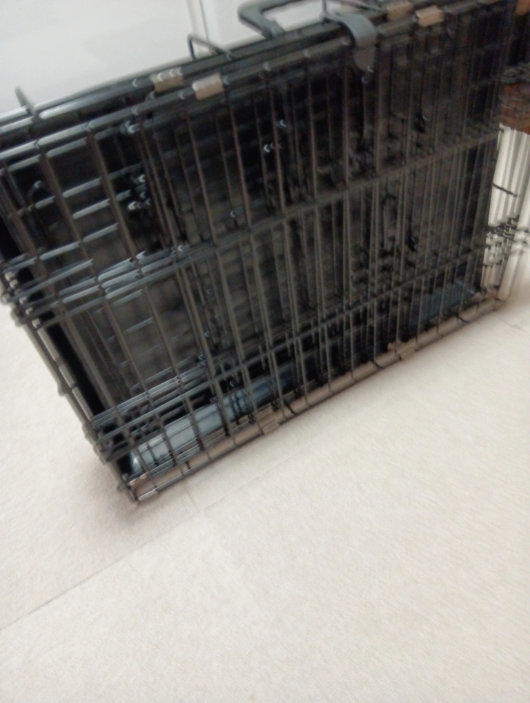 猫ゲージの写真4枚目
