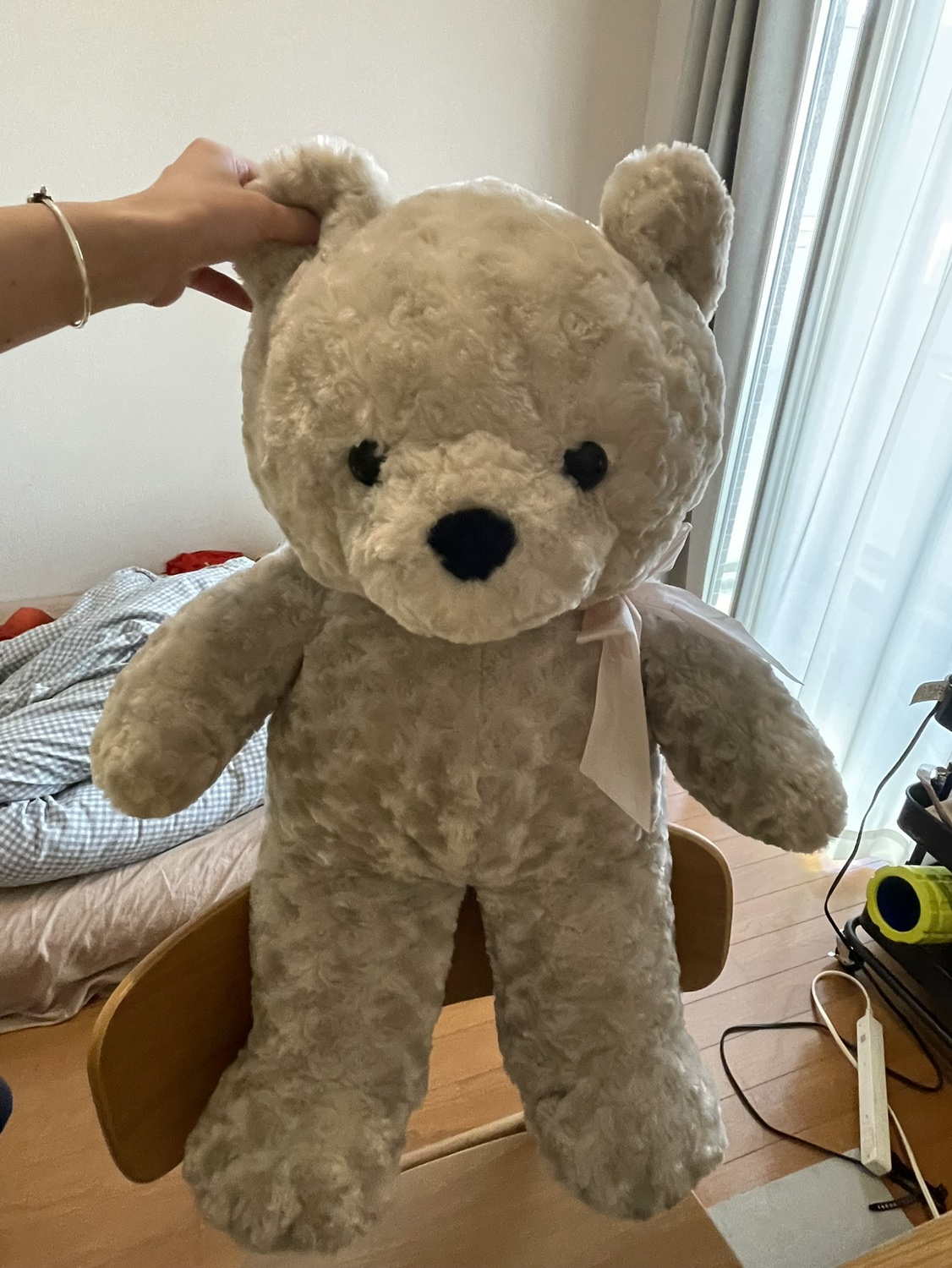 Teddy bear