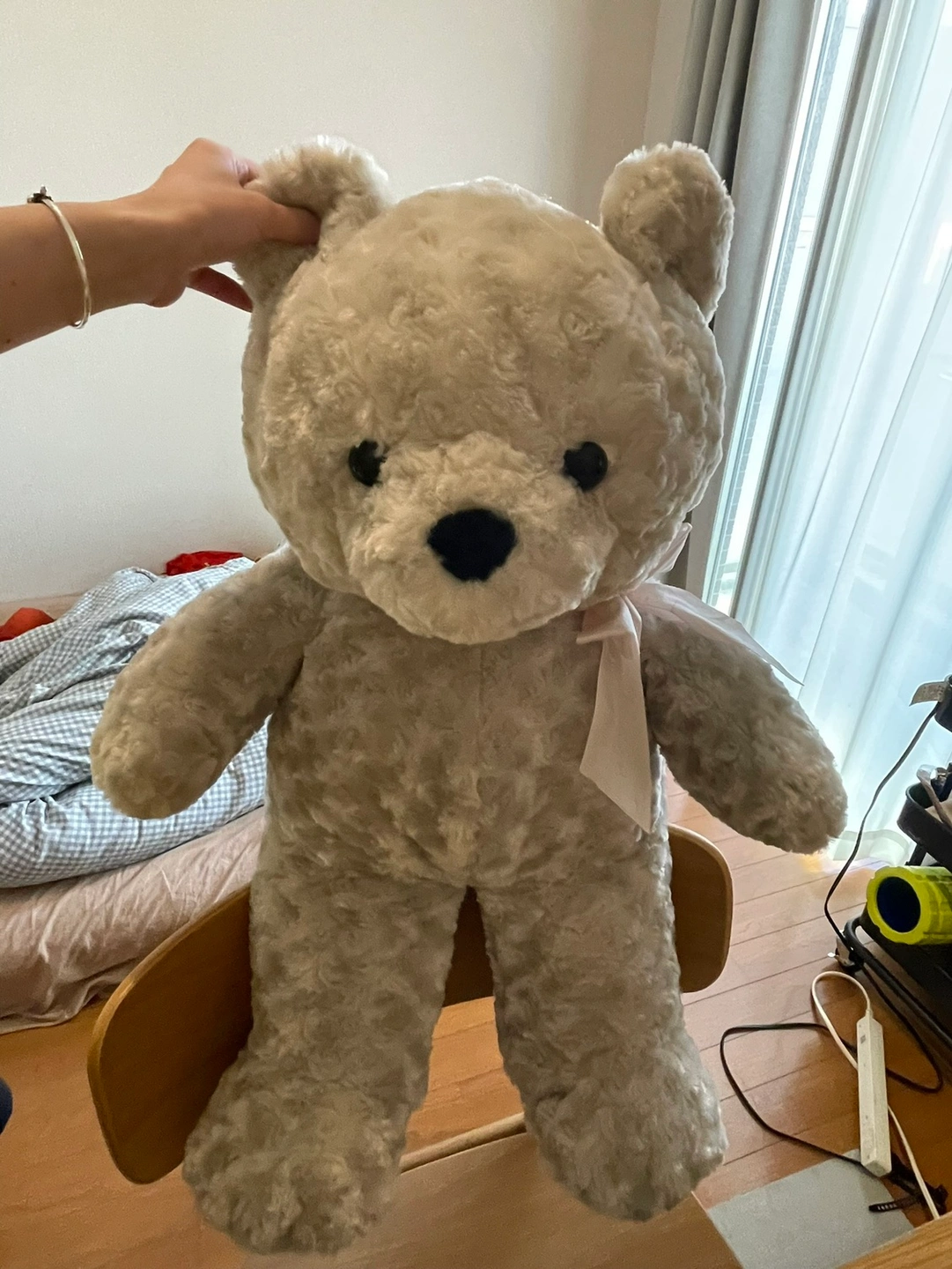 Teddy bear