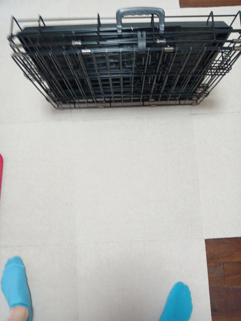 猫ゲージの写真5枚目