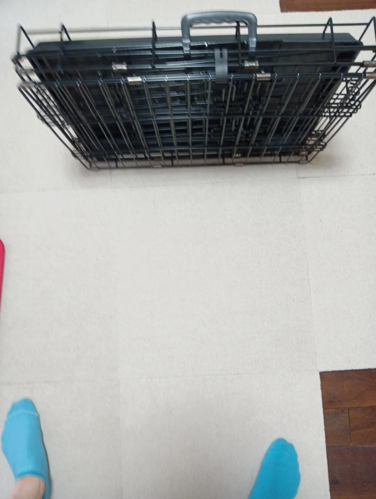 猫ゲージの写真5枚目